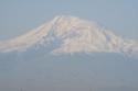 Ararat